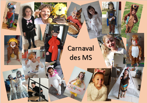 Carnaval MS